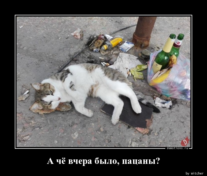 1510459791_A-che-vchera-bylo-pa_demotions.ru.jpg.jpeg