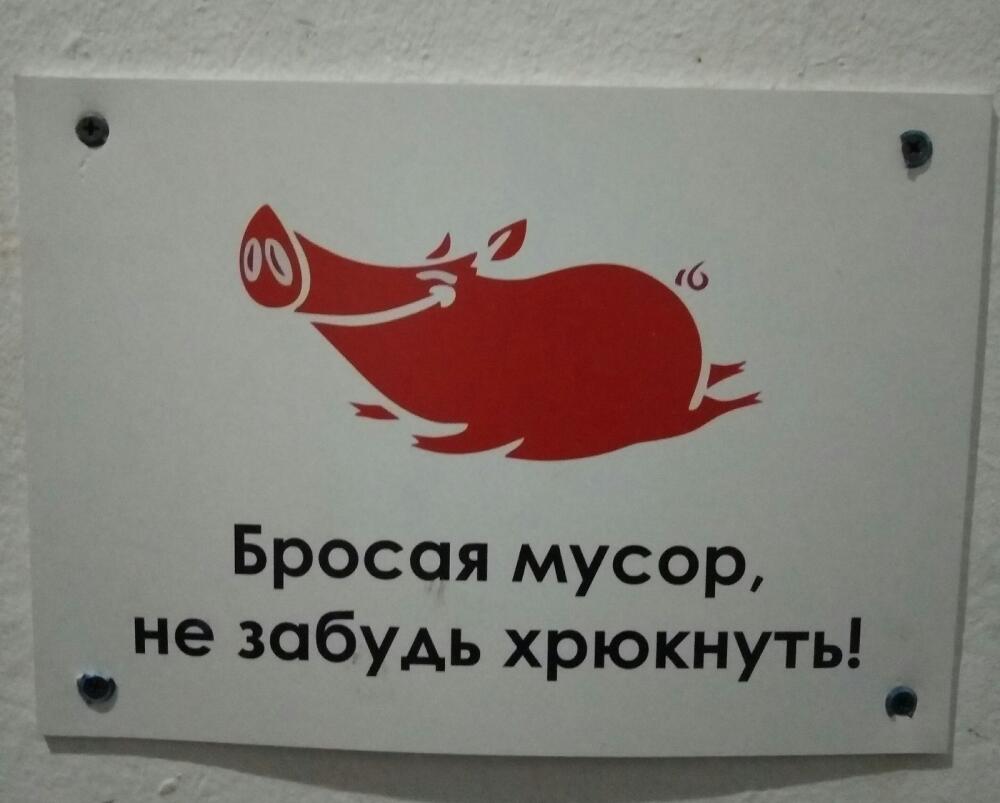 1513271423198749616.jpg.jpeg