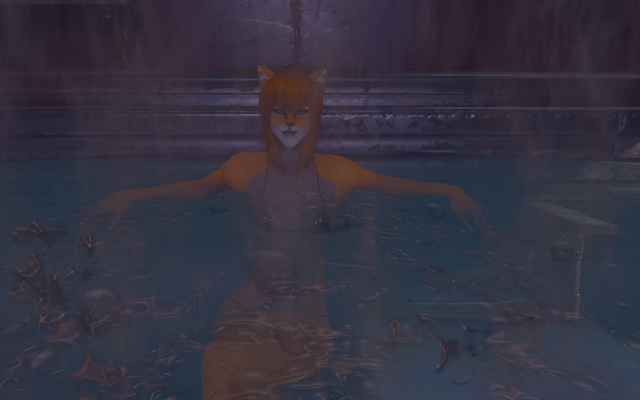 15194045_m.png.webp.png