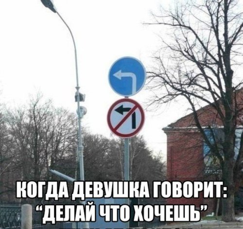 1523958248_avtoprikoly-1.jpg.jpeg