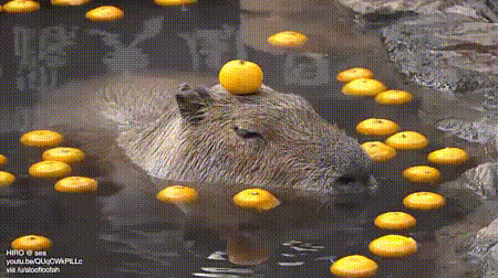1544305695118060417.gif