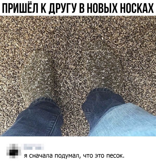 1548164959_1.jpg.jpeg
