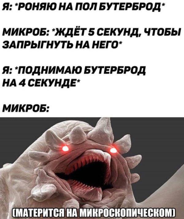 1550392716184655625.jpg.jpeg
