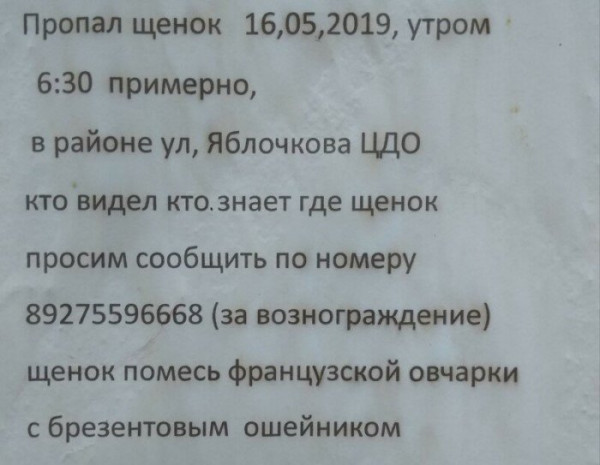 1560286349.jpg.jpeg