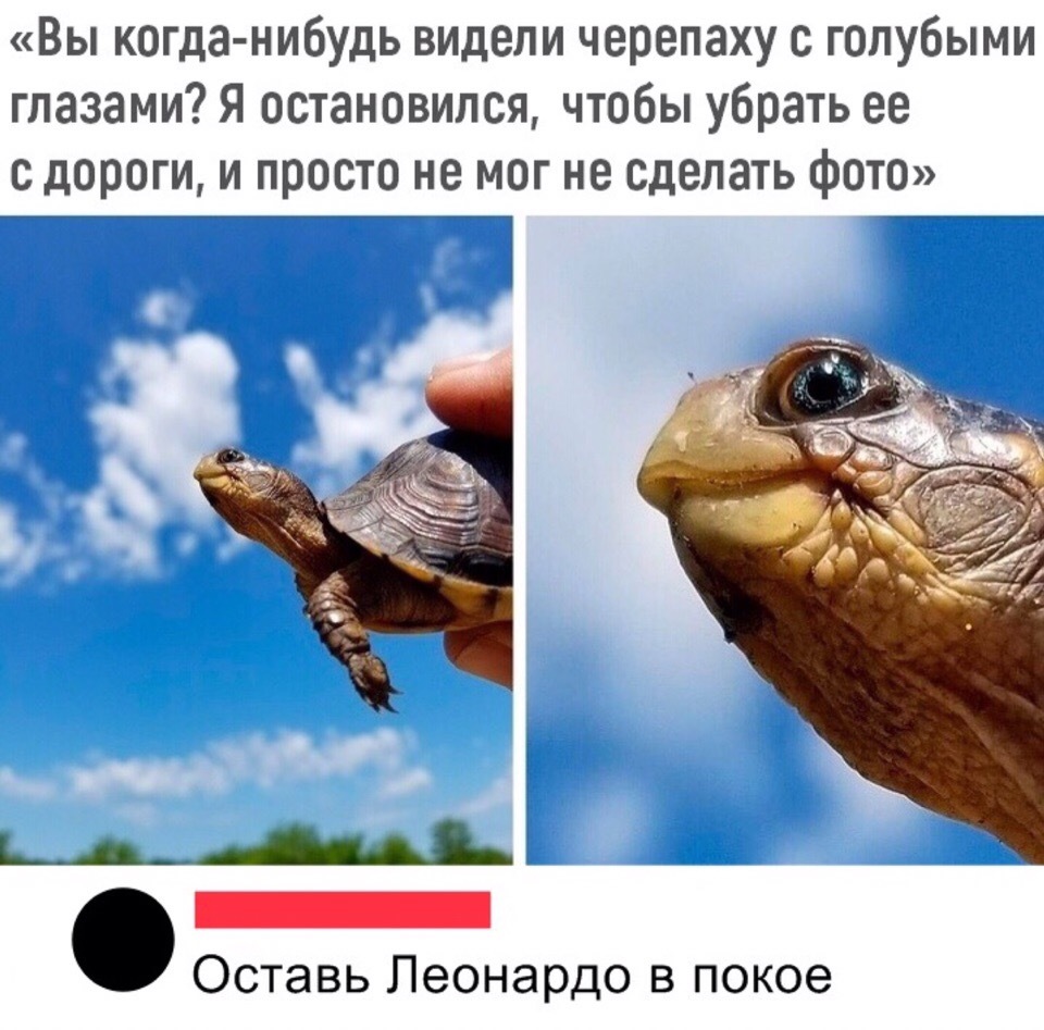 1560778179121560991.jpg.jpeg