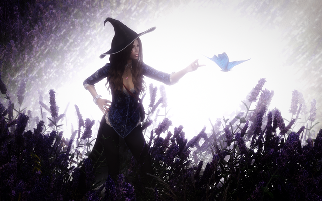 15892732_m.png.png