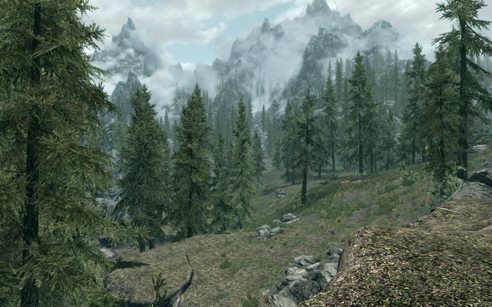 16065_2jLSqDAXuc_skyrim_tourist_forest.jpg.jpeg