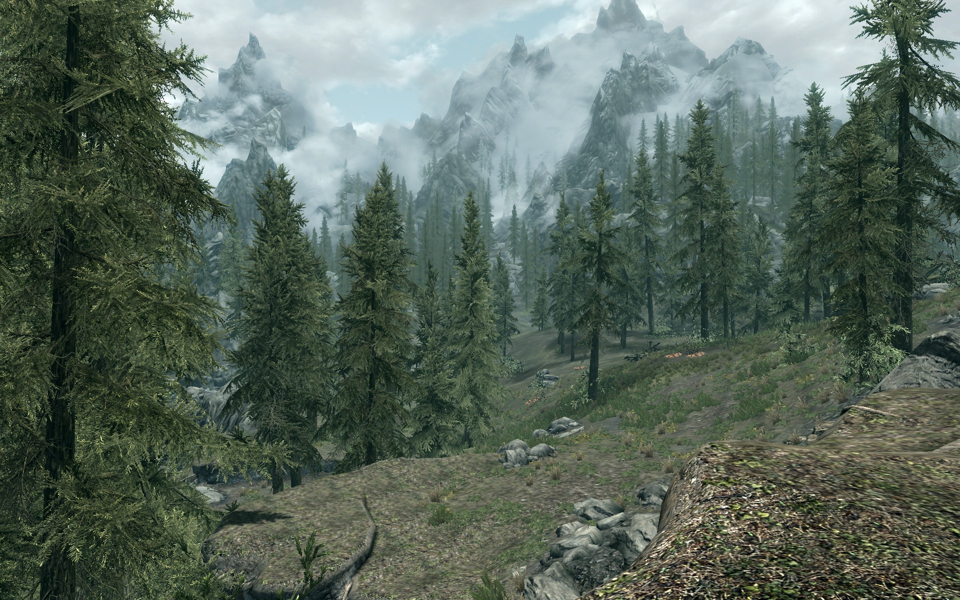 16065_2jLSqDAXuc_skyrim_tourist_forest.jpg.jpeg