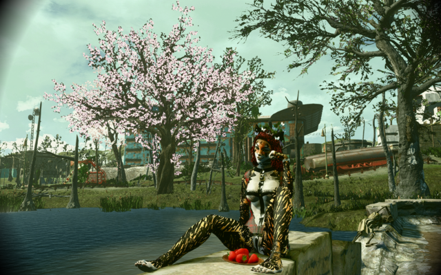 16334158_m.png.webp.png