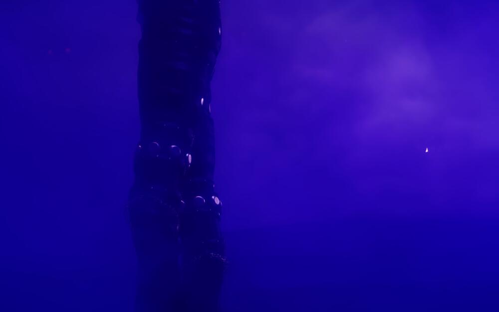 16748153.jpg.jpeg