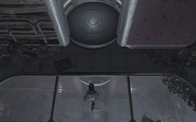 17025772_m.png.webp.png