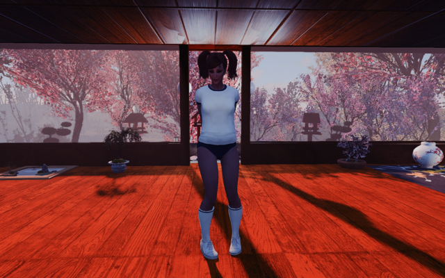 17115819_m.png.webp.png
