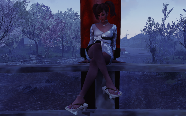 17115900_m.png.webp.png