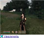 173316489535t.jpg.jpeg