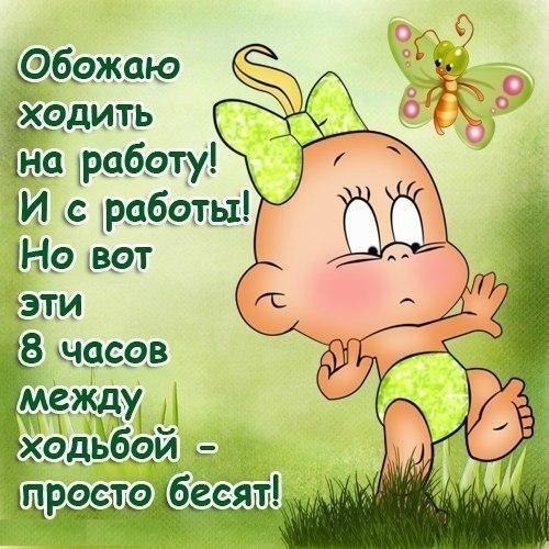 191500458_865e2ddcb16f2f5231fc644295a9a0fa_800.jpg.jpeg