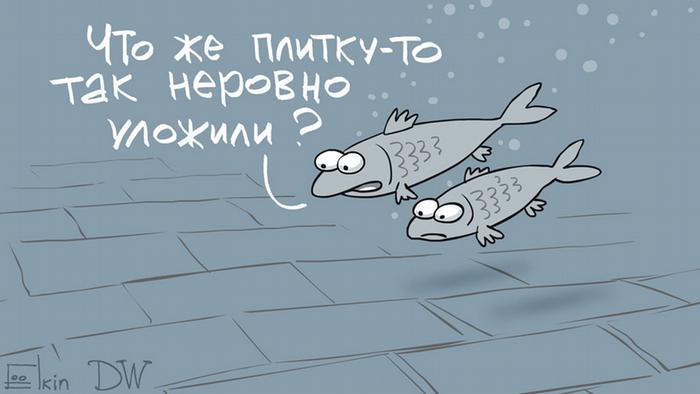 19424937_303.jpg.jpeg
