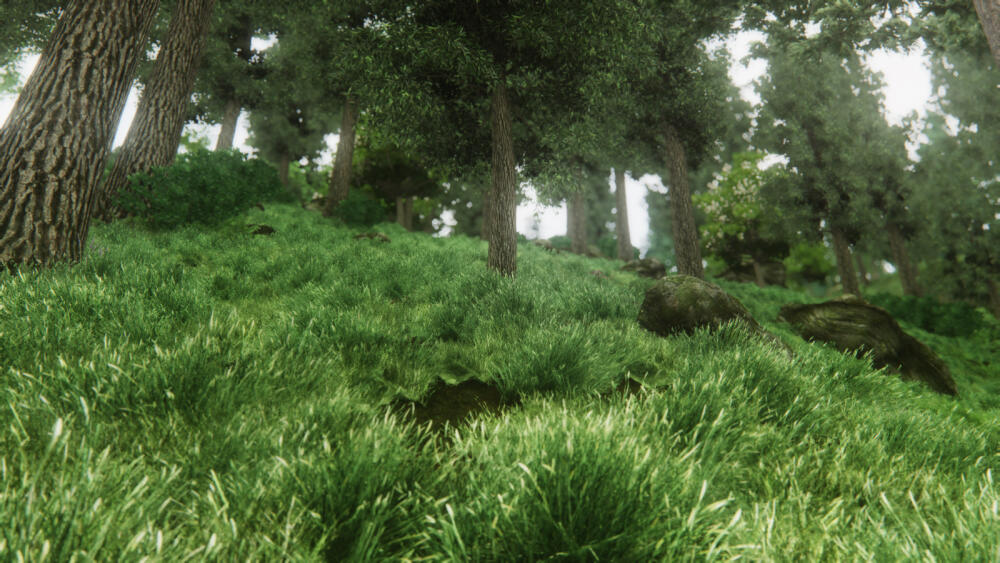 1a581b776cc9758d11e1cc6b71c2a53b.jpg.jpeg