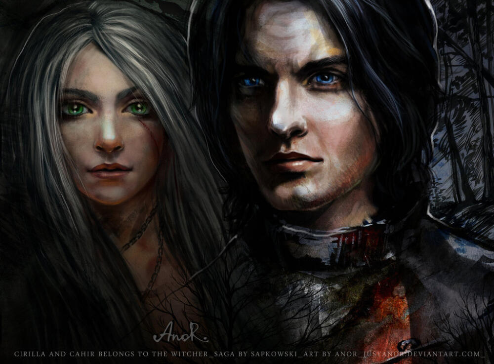 2044315_the_witcher.jpg.jpeg