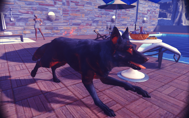 20882716_m.png.png
