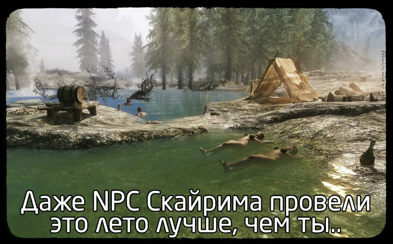21377958402.jpg.jpeg