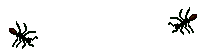 214561340.jpg.gif