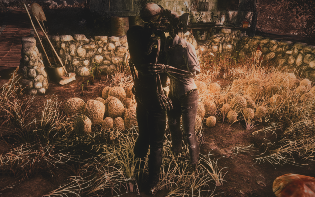 21622377_m.png.png