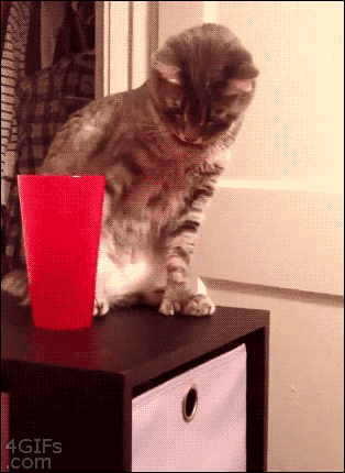 2253901d9270.gif