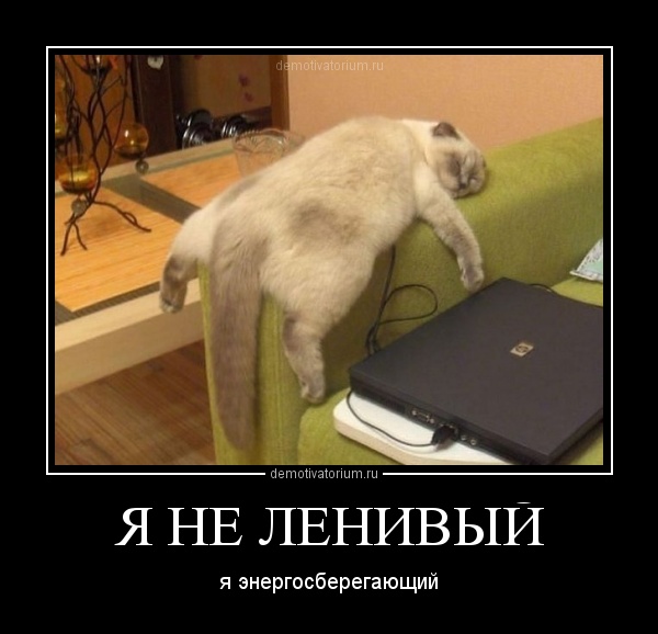 2305120138061285.jpg.jpeg