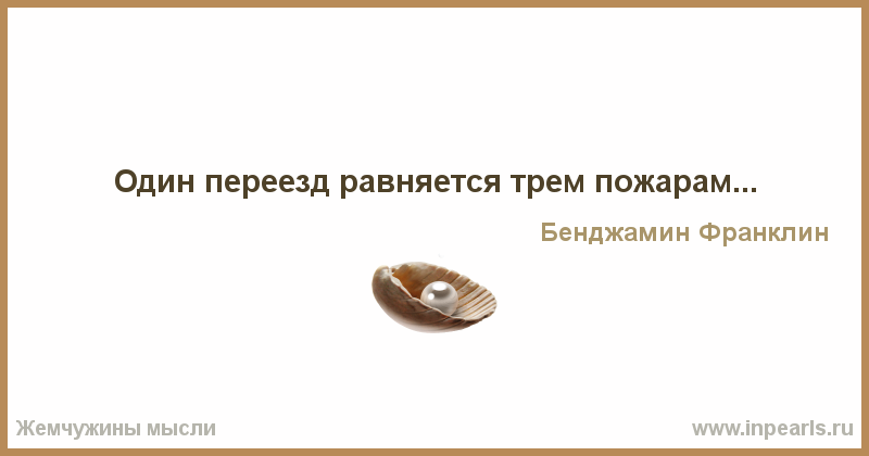 238401.png.webp.png