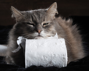 240_F_95182746_JUO5HknyvMbSEAoDBxA84cKBo5KtiWpr.jpg.jpeg