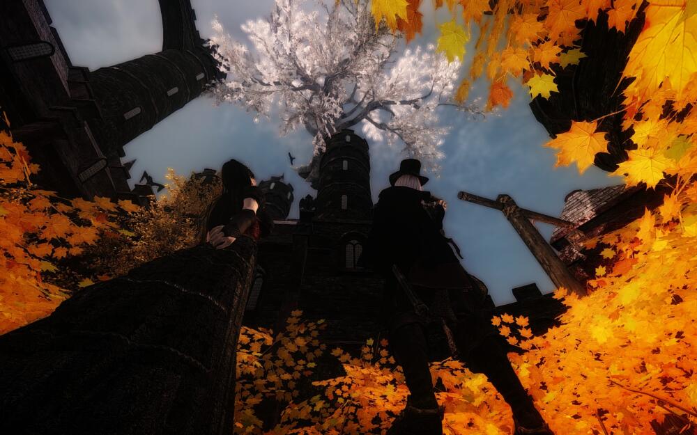 24102074.jpg.jpeg