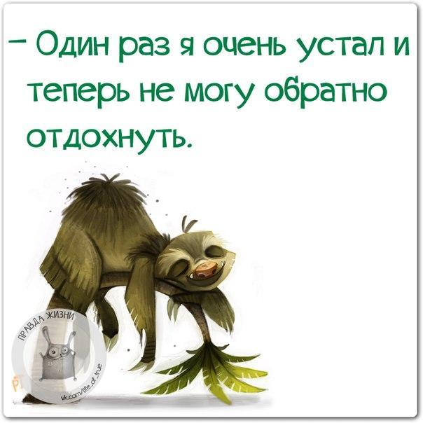 2437851_bc02db0ca59b14b72694d484c5f8ad0f_800.jpg.jpeg