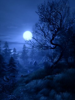 24940976782_f81b8d6466_n.jpg.jpeg