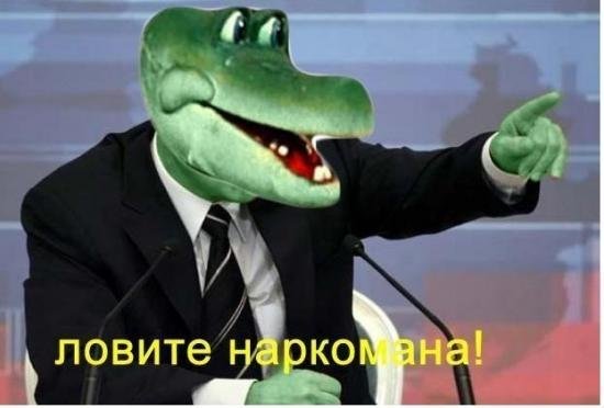 2741006.jpg.jpeg