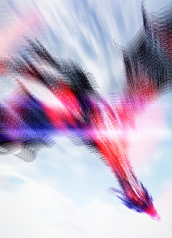27973701813_533352b47e_c.jpg.jpeg