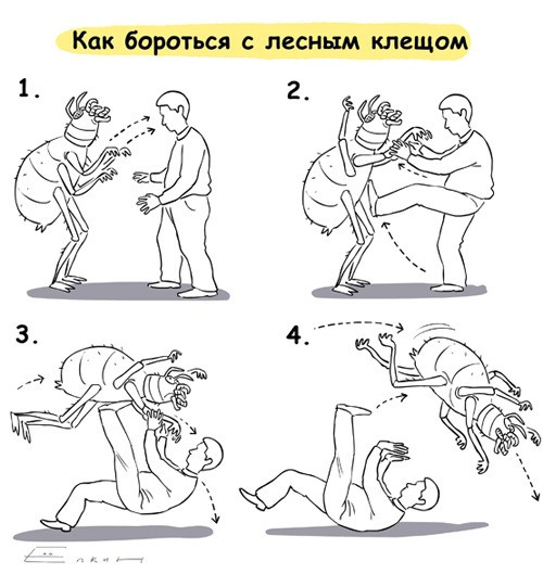 28fbe2caea109a4d66fbeccc2df417d4.jpg.jpeg