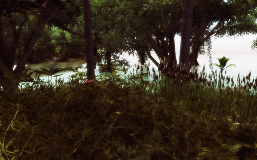 2c89b498157fa52706862b9dc1a5605e.jpg.jpeg