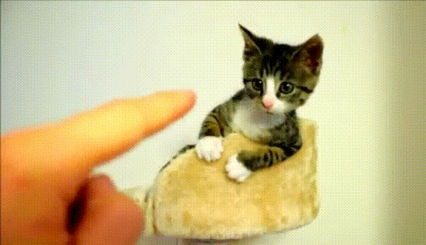 2cbb3ad2af65.gif