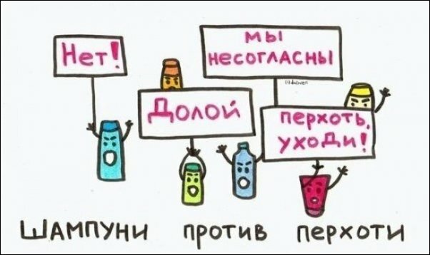 3_797103.jpg.jpeg