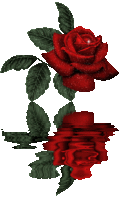 300594a706e621222ac424f2a4cf06c4.gif