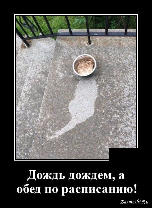 31b56c57eefc3de30790cd35ec45f1ed.jpg.jpeg