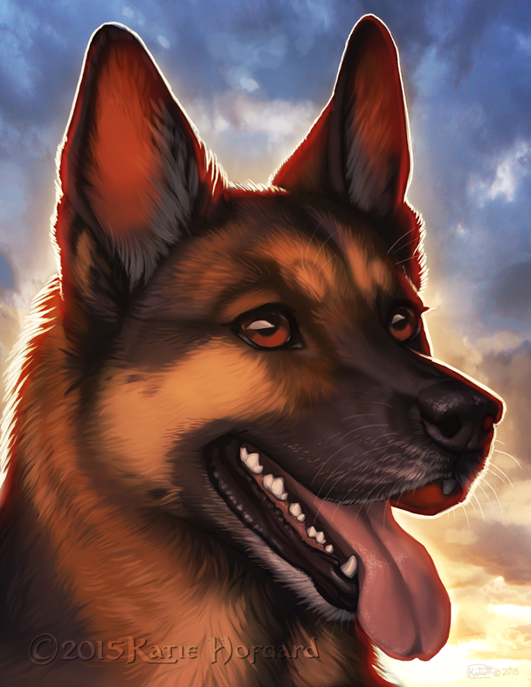 31e88caec00f7f5711c436c1b6a5f351.png.webp.png