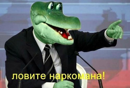3252937.jpg.jpeg