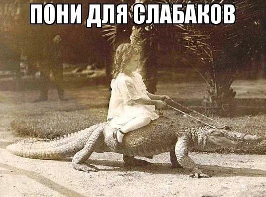 34.jpg.jpeg