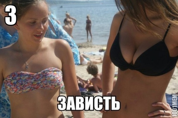 3402888.jpg.jpeg