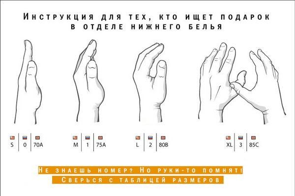 354887_600.jpg.jpeg
