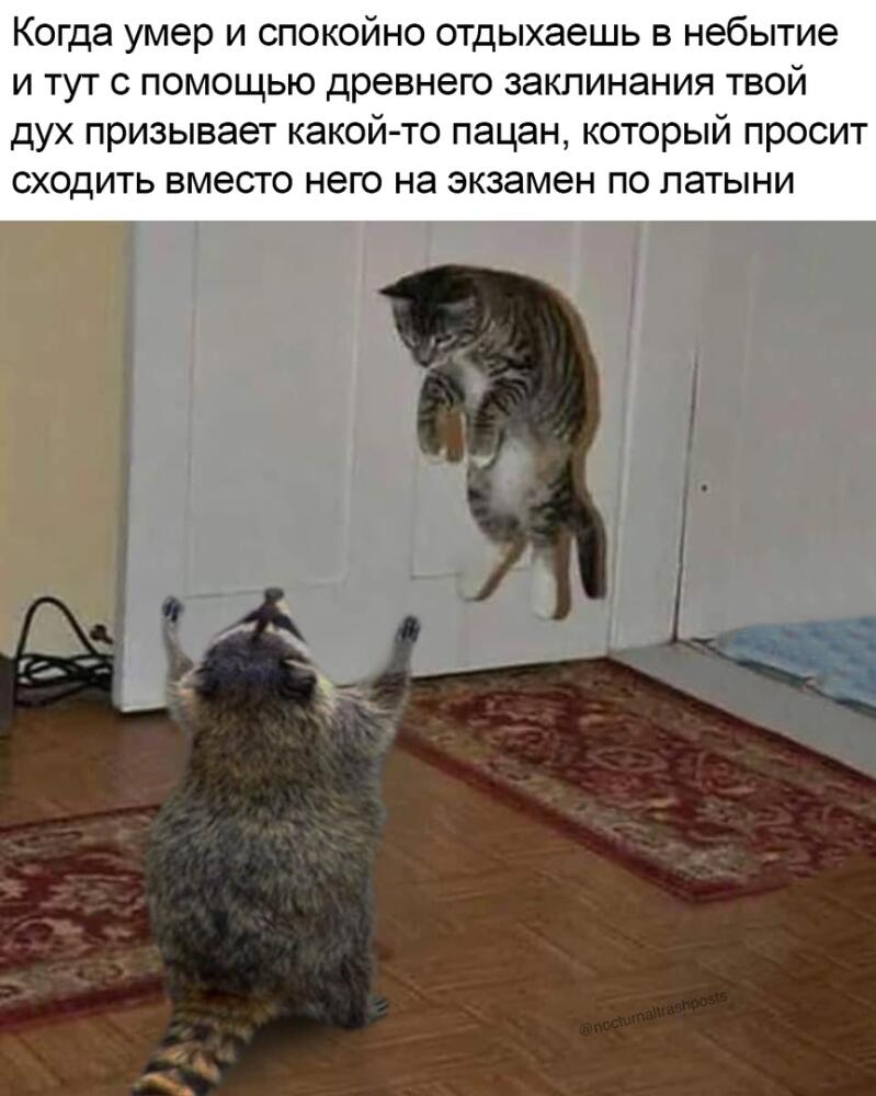 35gz_-3n5fw.jpg.jpeg