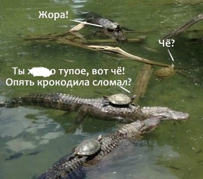 38f1cc12be6c08005551ca006d4c7058.jpg.jpeg