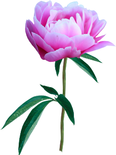 3c1492708e01ba26ac7c0ebc9e2eb0a2.png.png