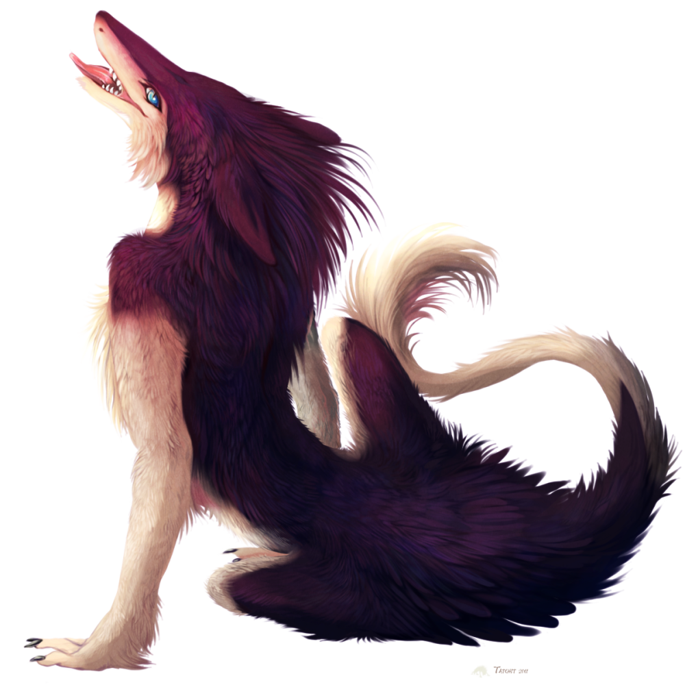 3d5fa28957c2933737a0eadbed87c7bf.png.png